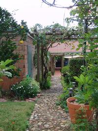 Mexican Courtyard Garden Design